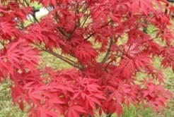 Introduction & terms